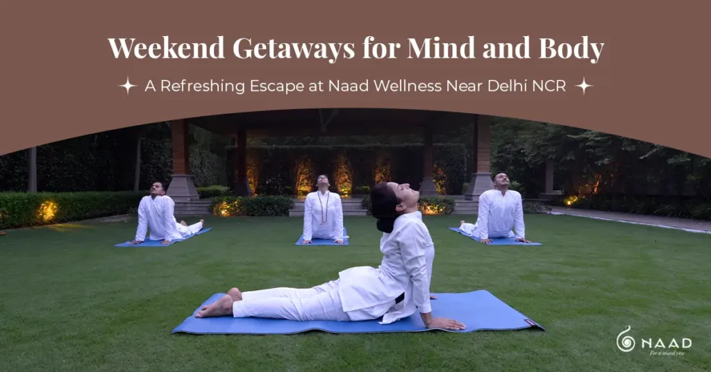 People practicing yoga outdoors at Naad Wellness retreat near Delhi NCR, surrounded by greenery and calm ambiance