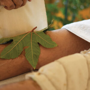 Musculoskeletal Pain & Flexibility Management Program